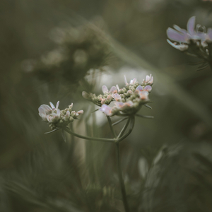 Finding Stillness