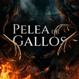 Pelea de Gallos
