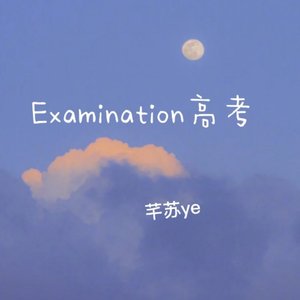 Examination高考