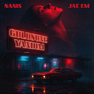 Gülüşüne Yandım