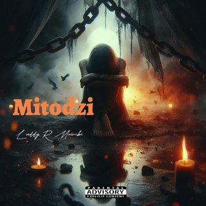 Mitodzi
