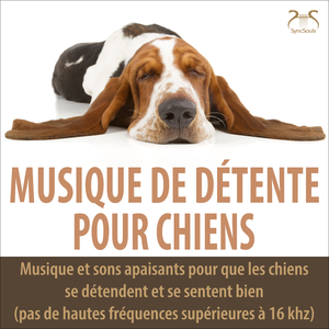 Musique de relaxation pour chiens - battements alpha binauraux, bourdonnement agréable de la hotte aspirante, pas de hautes fréquences au-dessus de 16 kHz