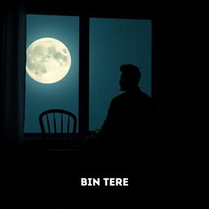 Bin Tere