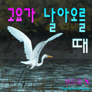 고요가 날아오를 때