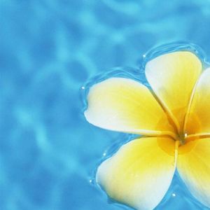 希望你能记得我啊