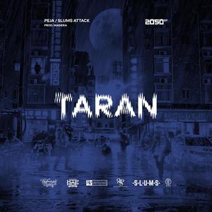 Taran