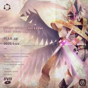 戒掉手动寻找爱