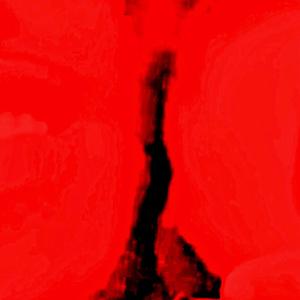 Ū
