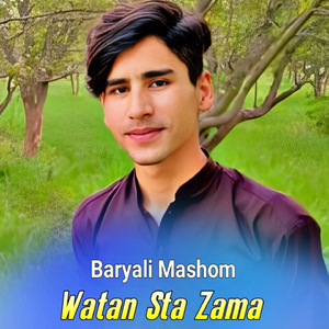 Zor Di Waki Ghamazan