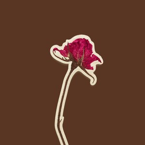 Jazz on the Window Frame