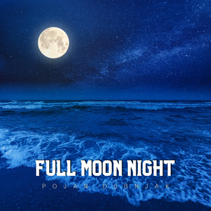 Surrender to the Enigma of Midnight