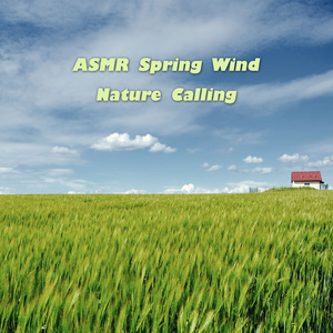 ASMR 봄바람소리