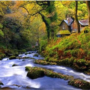 向往自由的天空