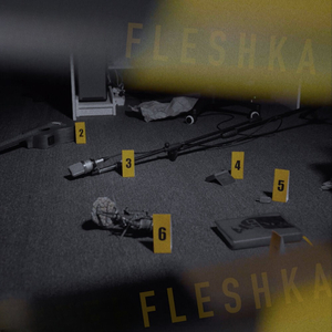 Fleshka