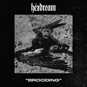 Brooding