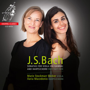 Sonata for Viola da Gamba and Harpsichord No. 1 in G Major, BWV 1027: II. Allegro ma non tanto