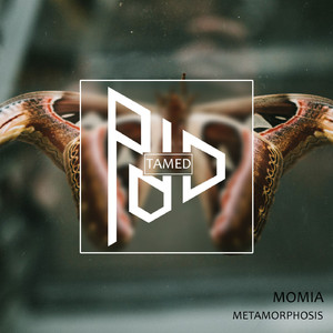 Metamorphosis (Original Mix)