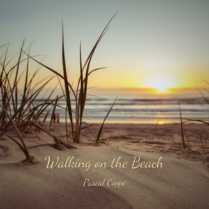 Walking on the Beach