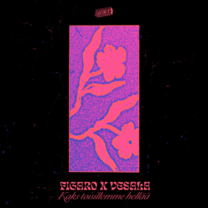 Kaks toisillemme hellää