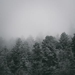 NoobRin555
