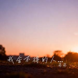 我舍不得的人并没有舍不得我 (Cover 向思思)