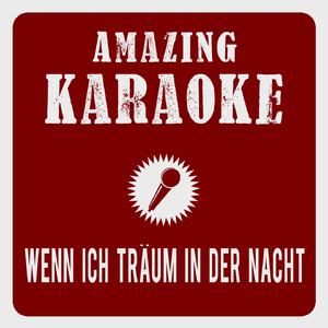 Wenn ich träum in der Nacht (Böhmischer Traum) [Karaoke Version]