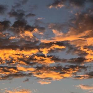 独行侠+爱如潮水（翻自 sea蕊）