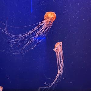 En annen etasje i livet