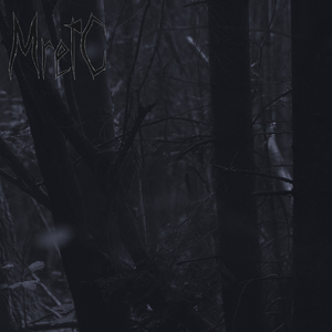 Сяйво зірки