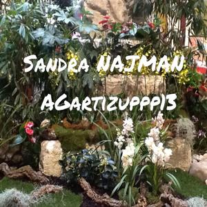 AGartizuppp13_mastered