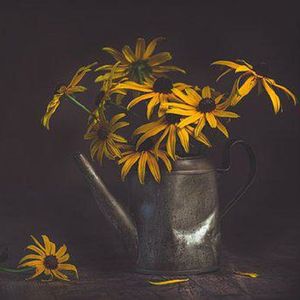 沉静心声（催眠曲）