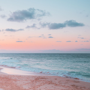 Flutes Imitate Seagull Cries