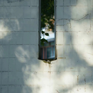 啊朋友再见 (笛子)