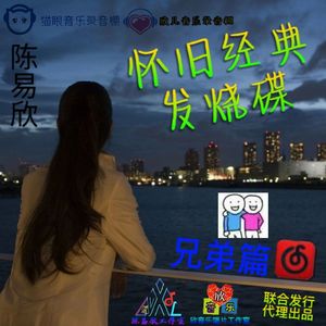 兄弟的情意 - （情义深情演绎版）