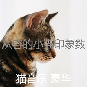 微妙的睡猫心情