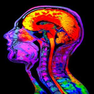 Gli Umani Piu´Rari (feat. Mat Neumann)