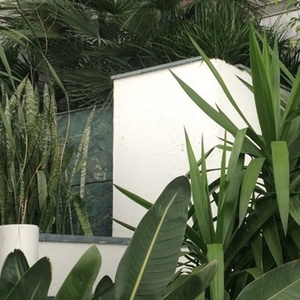 Ｗｈｅｎ Ｂａｂｙｌｏｎ Ｃｏｍｅｓ