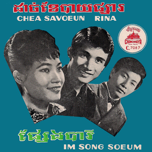 ដាច់ខែបាយផ្សា