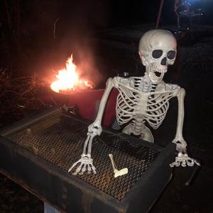 Silicon Spurs & Skin and Bones