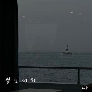 梦里的雨