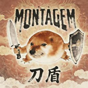 Montagem what the dog doing