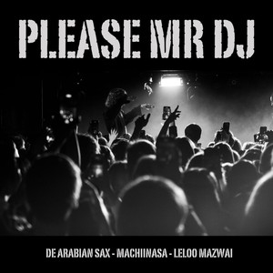 Please Mr DJ