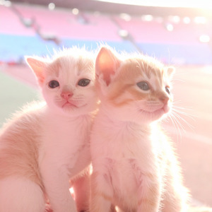 ありがとうの余韻