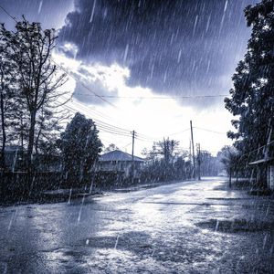 失语者的雨季，所有的风都向北偏移