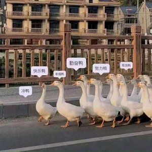 漠河舞厅