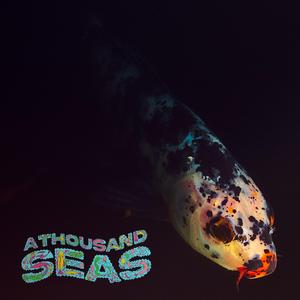 A Thousand Seas (feat. Meltycanon)
