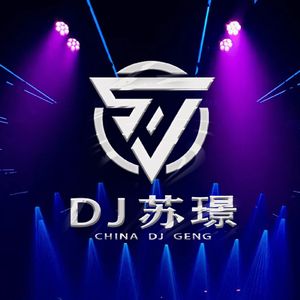 爱河（DJ Geng remix）