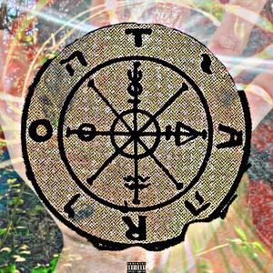 what the palm lines told me