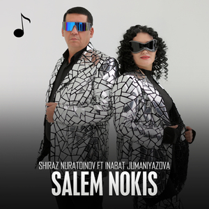 Salem Nokis