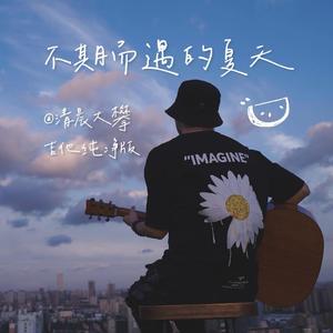 不期而遇的夏天（吉他纯净版）